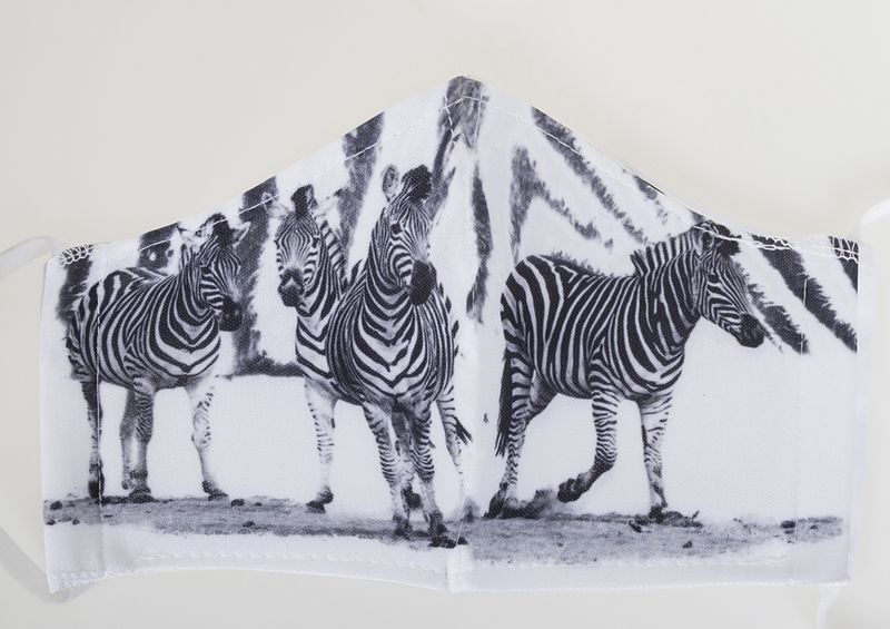 2020-zebra-mask-